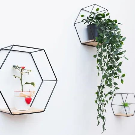 San Pietro Da Silvia